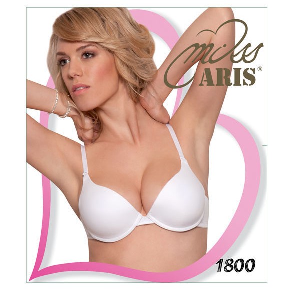 Aris 1800
